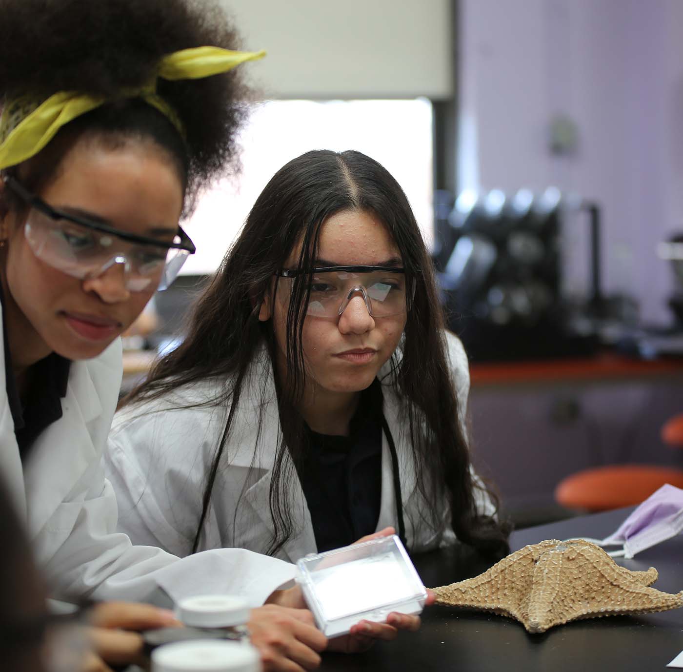 HSA Belmont student drawing at a desk in a classroom setting